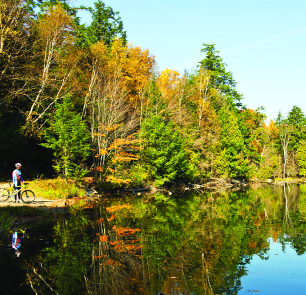 Cottage Country