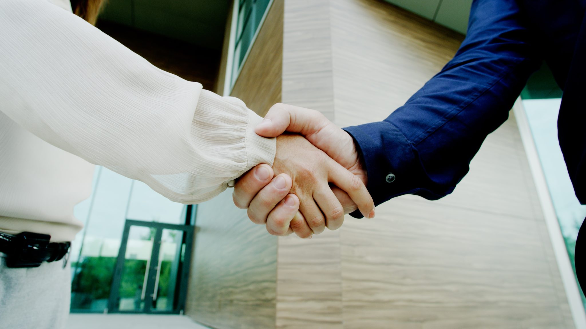 handshake of man and woman